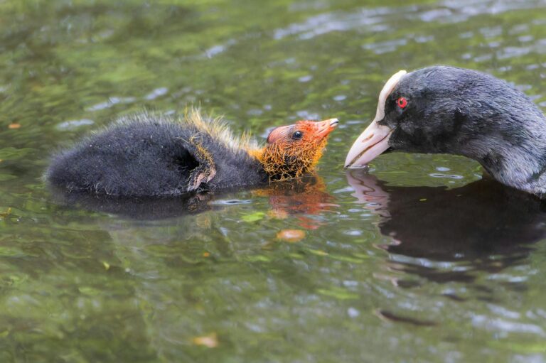 Eltern gestalten im Lockdown entspannt kreative Familienzeit mit Kindern zu Hause