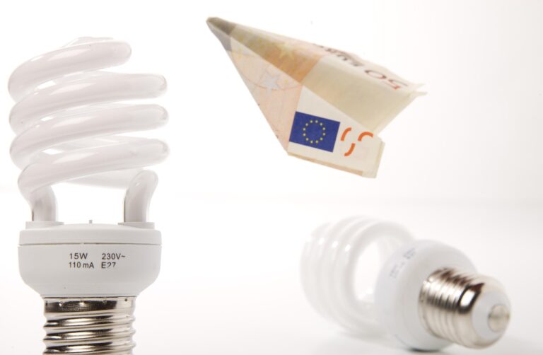Haushalt nutzt energieeffiziente Geräte und spart Strom trotz steigender Preise