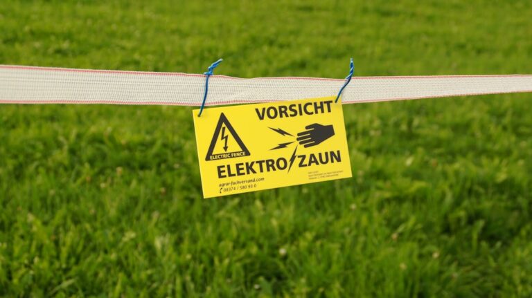 Fehler in der Energiepolitik gefährden die nachhaltige Energiewende und Versorgungssicherheit