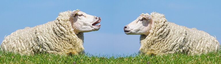 Diskussion über Gaslieferungen und ihre Auswirkungen auf Deutschlands Energiezukunft