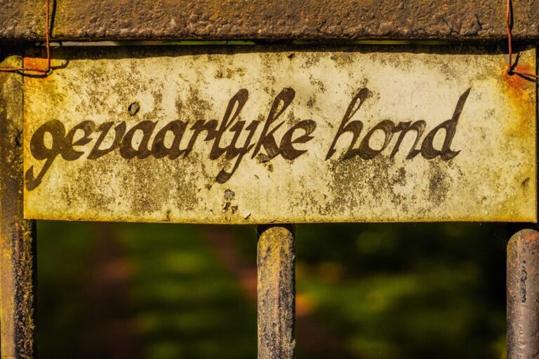 Menschen erreichen in einer Krisensituation sicher einen gut gekennzeichneten Sammelpunkt Notfall