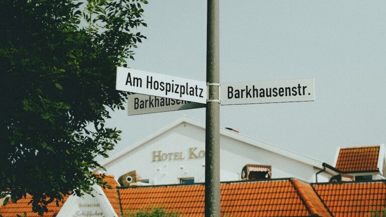 Tierhalter erkennt akute Notfallsituation bei Haustier und leistet erste Hilfe