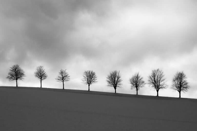 Prepper üben mentale Stärke bei Notfällen für klaren Kopf und ruhige Entscheidungen