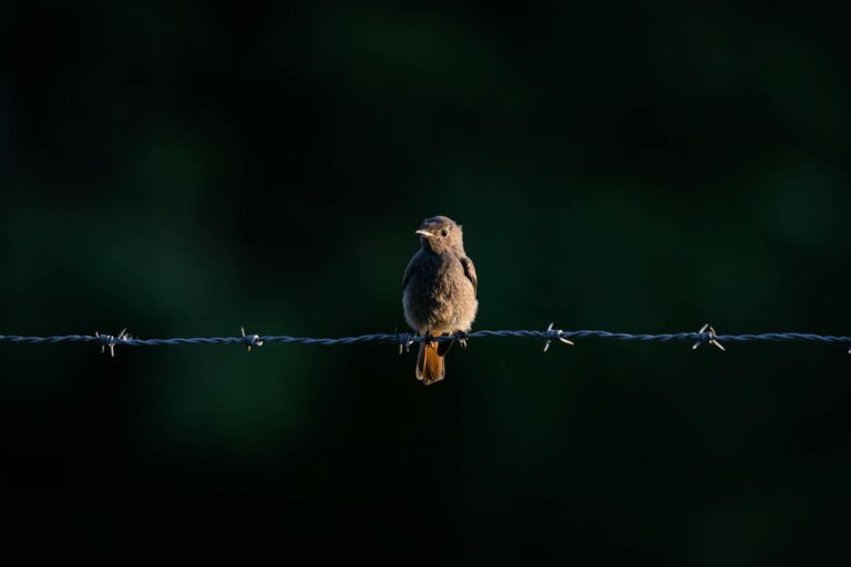 Moderne Planung in Deutschland für eine nachhaltige und klimafreundliche Energiezukunft