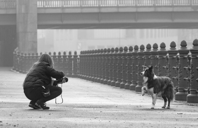 Kostenlose Prepper Ratgeber zur einfachen Krisenvorsorge und Notfallvorbereitung