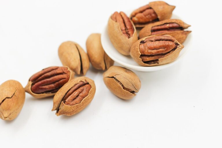 Snack Riegel sicher und langlebig aufbewahren für Notfälle und unterwegs
