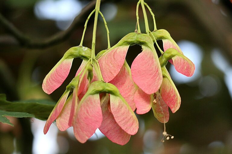 Strom- und Gasversorgung sichern langfristig stabile Infrastrukturen in der Energiekrise