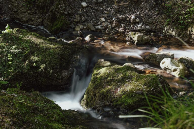 Trinkwasser filtern mit portablem Filtergerät für sicheres Wasser in Krisensituationen